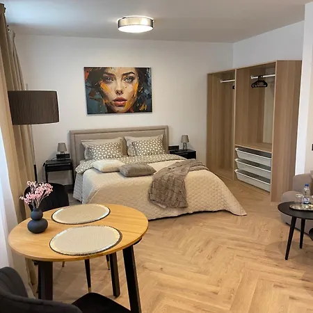 Dzīvoklis A Stylish In The Historic Center Of